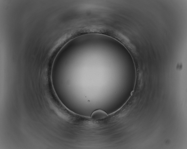 X0000093570250200710151133