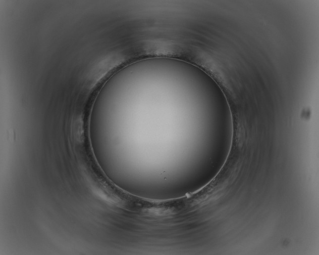 X0000093570251200710151133