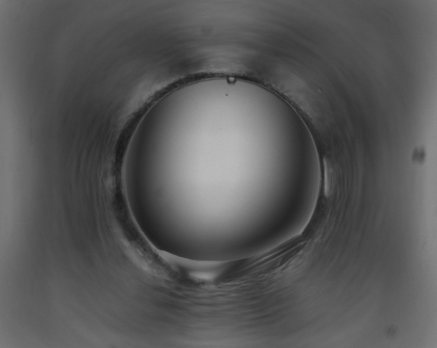 X0000093570252200710151133