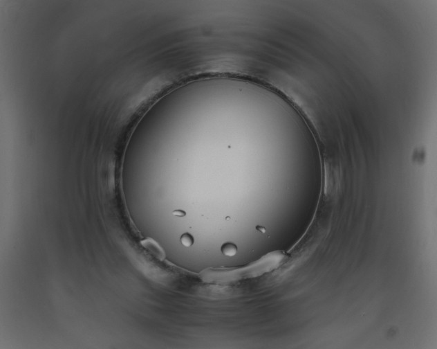 X0000093570253200710151133