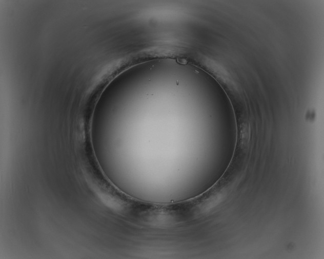 X0000093570254200710151133