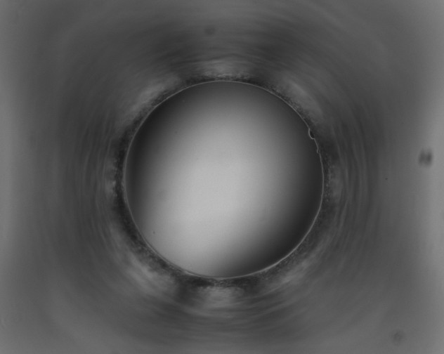 X0000093570255200710151133