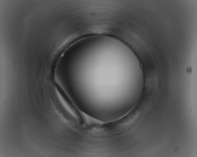 X0000093570256200710151133