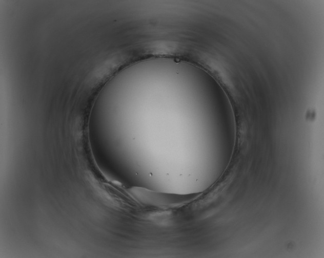 X0000093570257200710151133