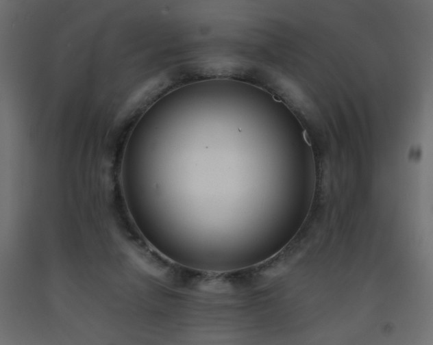 X0000093570258200710151133