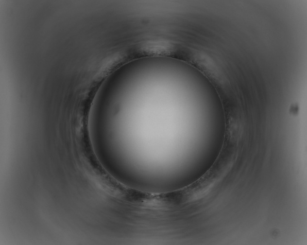 X0000093570259200710151133