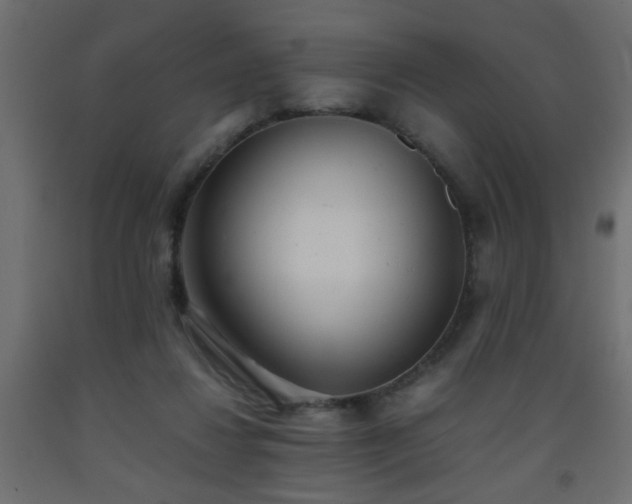 X0000093570260200710151133