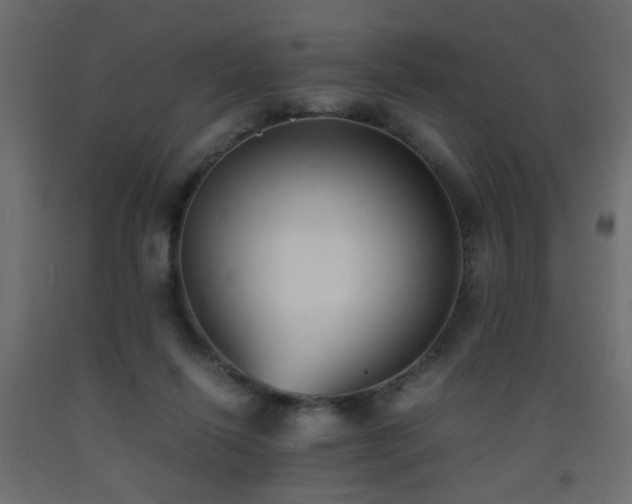 X0000093570262200710151133