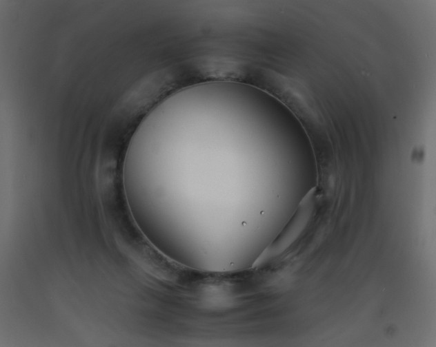 X0000093570263200710151133