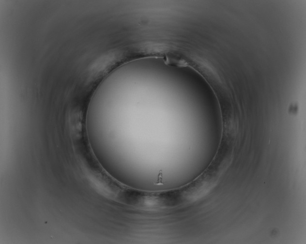 X0000093570264200710151133