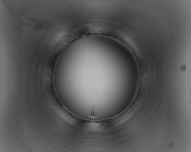 X0000093570265200710151133