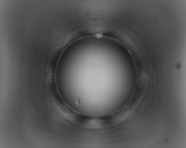 X0000093570268200710151133