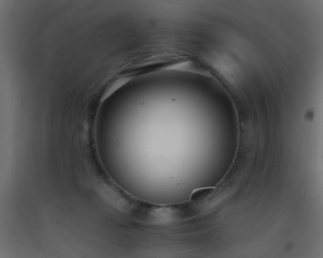 X0000093570269200710151133