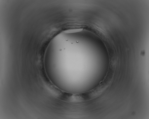 X0000093570270200710151133