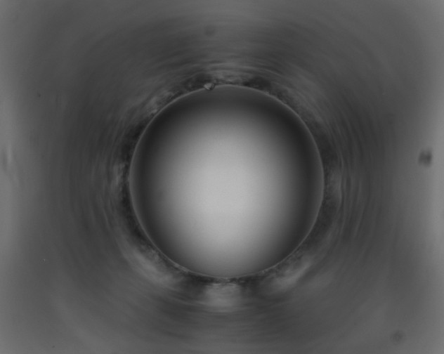 X0000093570271200710151133