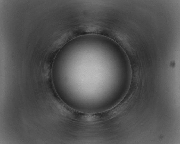X0000093570273200710151133