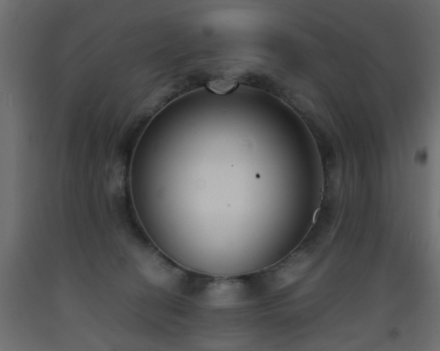 X0000093570274200710151133