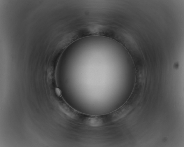 X0000093570275200710151133