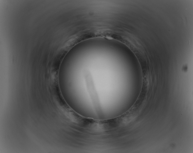 X0000093570276200710151133