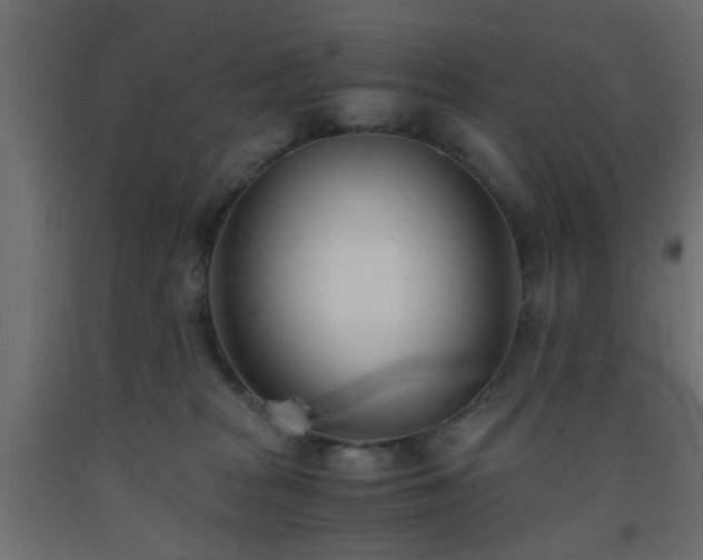 X0000093570277200710151133