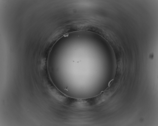 X0000093570278200710151133