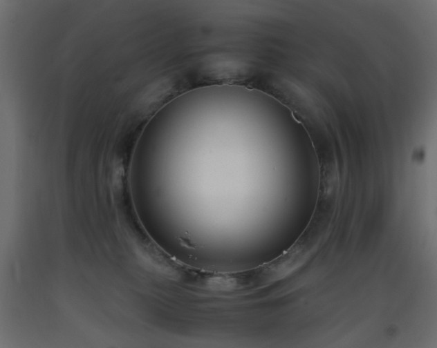 X0000093570279200710151133