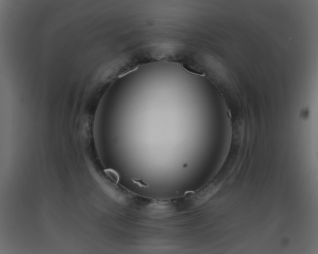 X0000093570280200710151133