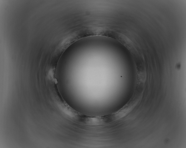 X0000093570286200710151133