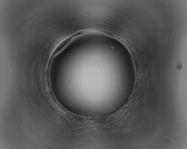 X0000093570289200710151133