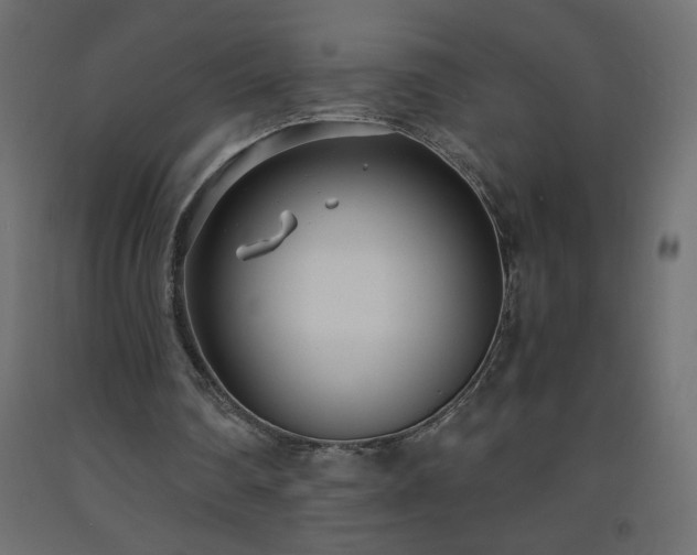X0000093570290200710151133