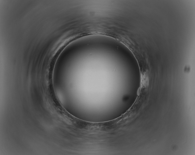 X0000093570291200710151133
