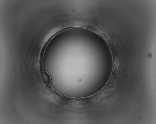 X0000093570292200710151133