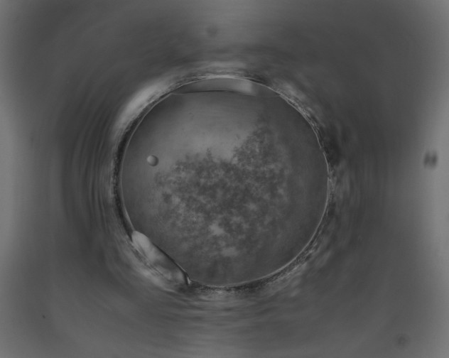 X0000093570293200710151133