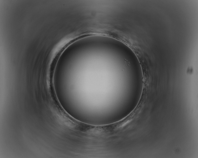 X0000093570294200710151133