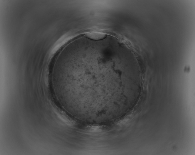 X0000093570295200710151133