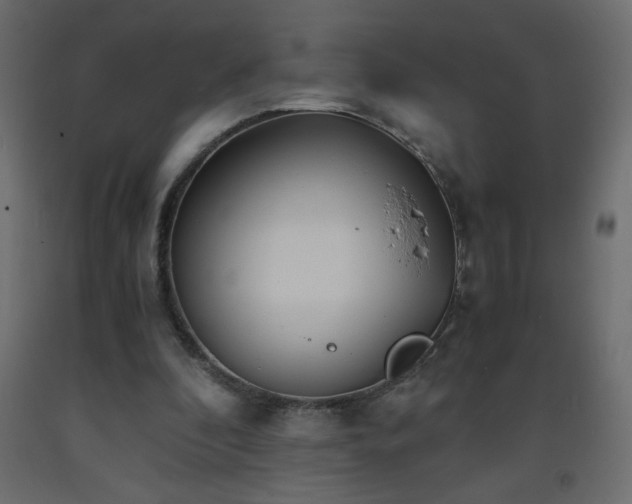 X0000093570296200710151133
