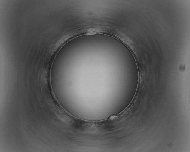 X0000093570297200710151133