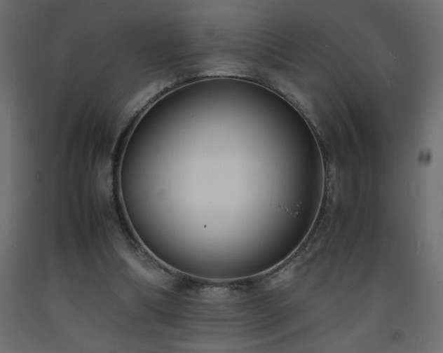 X0000093570298200710151133