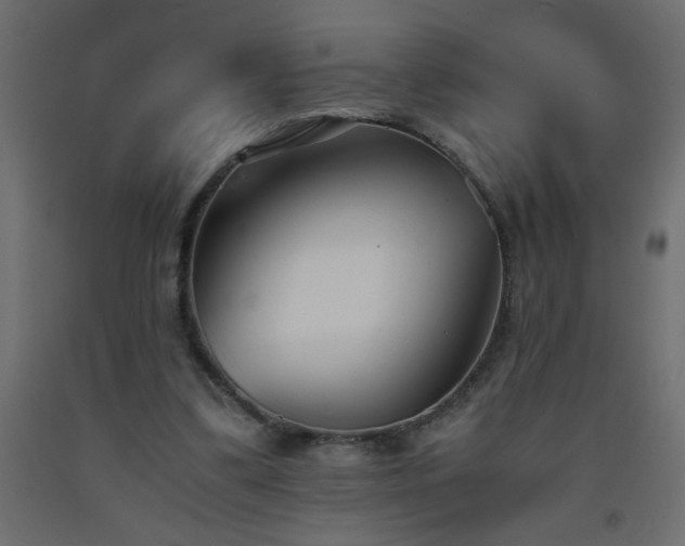 X0000093570299200710151133