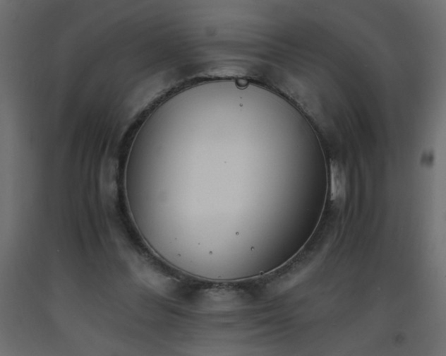 X0000093570300200710151133