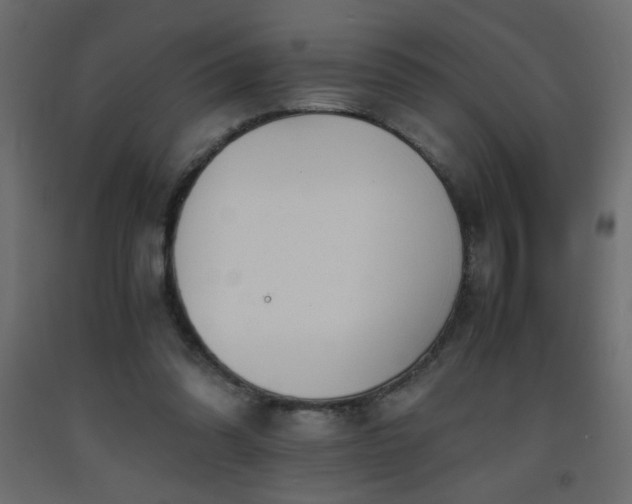 X0000093570302200710151133