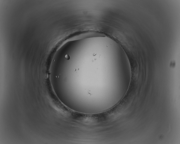 X0000093570303200710151133