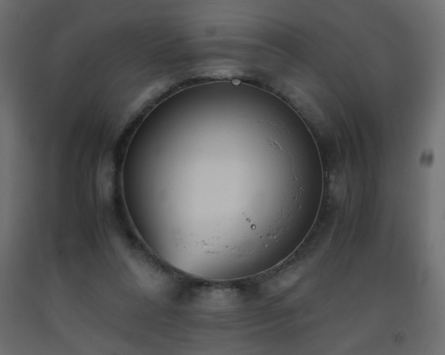 X0000093570304200710151133