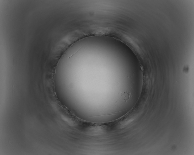X0000093570307200710151133