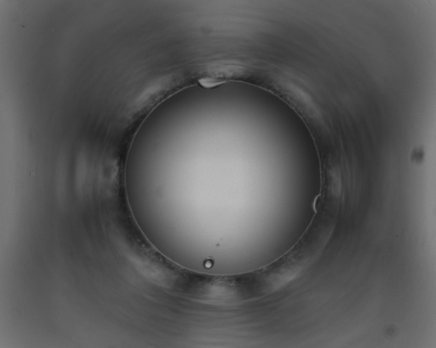 X0000093570308200710151133