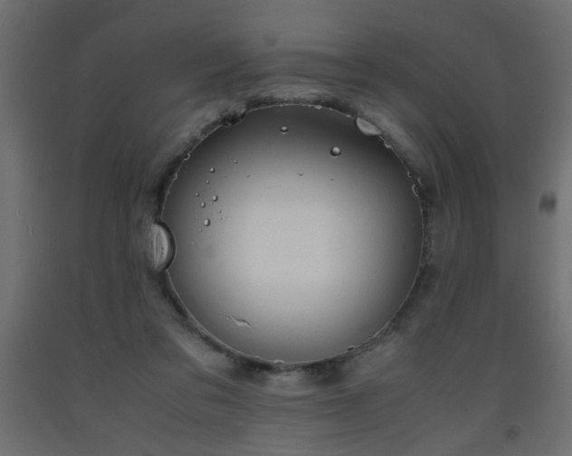 X0000093570309200710151133