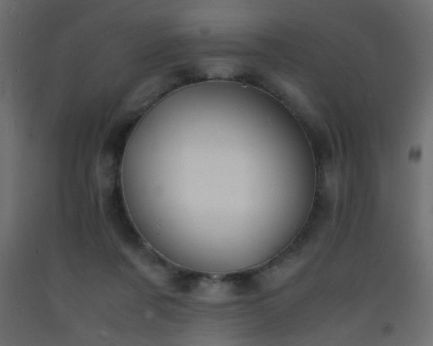 X0000093570311200710151133
