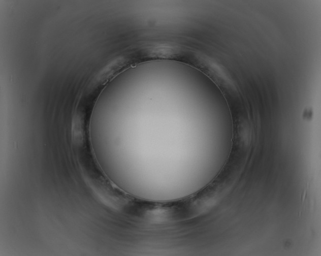 X0000093570312200710151132
