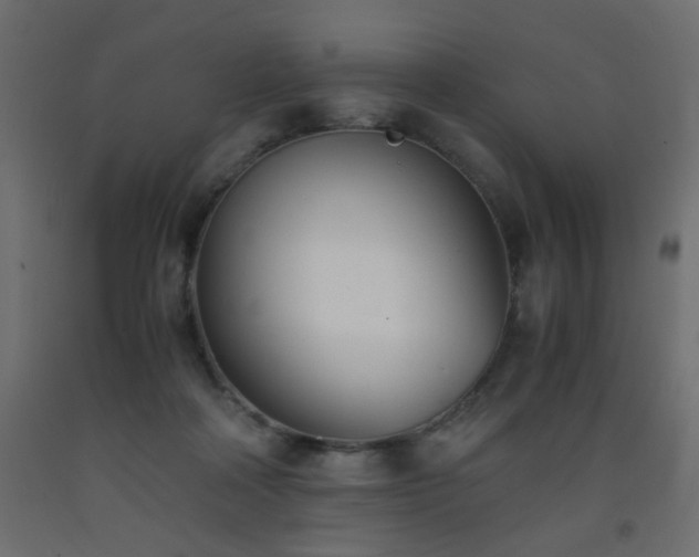 X0000093570314200710151132