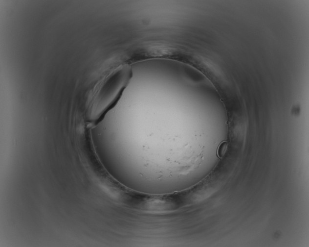 X0000093570315200710151132